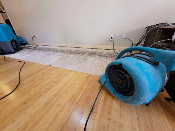 Professional Water Extraction technician working in Bellevue, KY